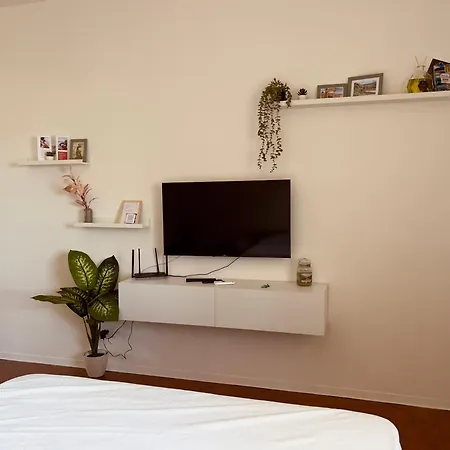 Apartamento Dama S On The