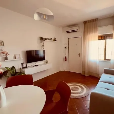 Dama S On The Appartement *